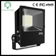 10W/20W/30W/50W LED Floodlight with Ce and RoHS